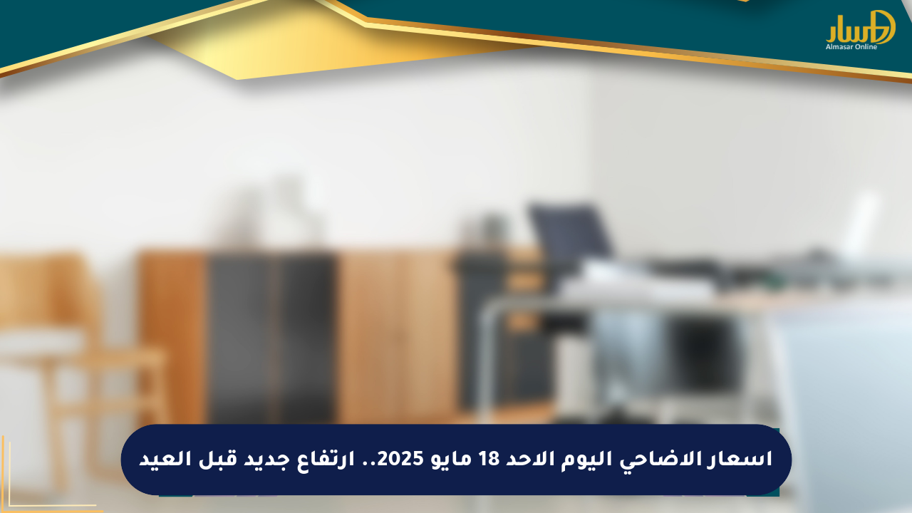 أسعار الأضاحي اليوم الأحد 18 مايو 2025.. ارتفاع جديد قبل العيد